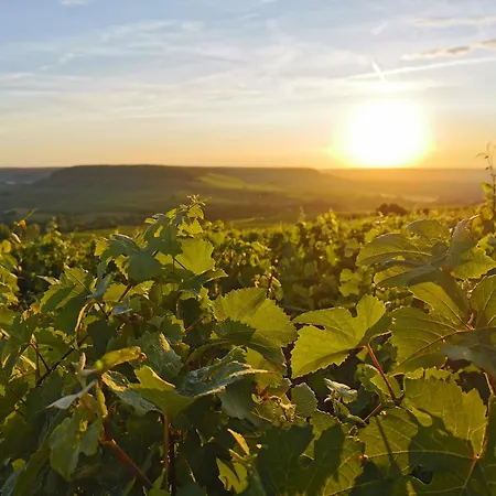 Briqueterie Champagne, A Beauvallon & 5*