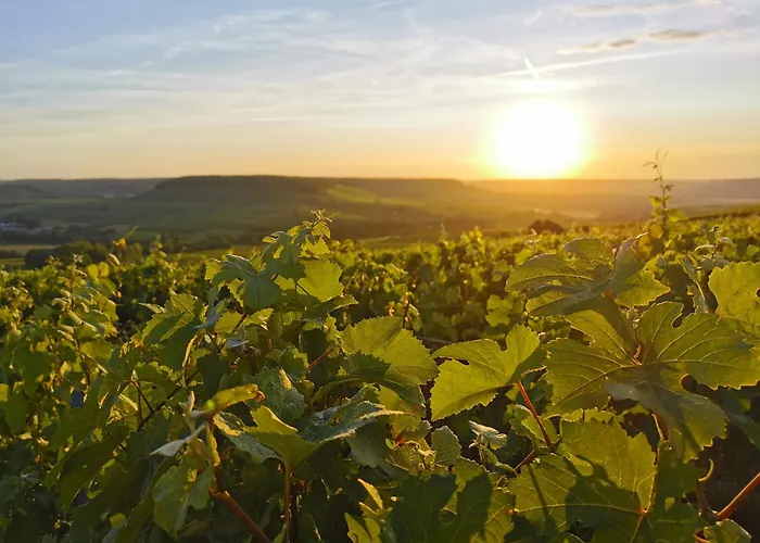 Briqueterie Champagne, A Beauvallon & 5*